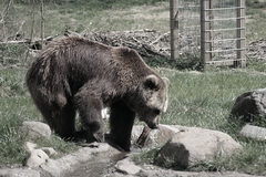 Killikus&reg; Fotographie